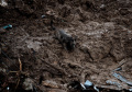 Banjir dan Longsor Terjang Brasil