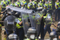 Bentrokan Polisi dengan Pendemo di Selandia Baru