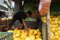 Berburu Buah Timun Suri di Bulan Ramadan