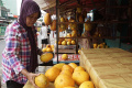 Berburu Buah Timun Suri di Bulan Ramadan