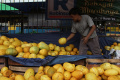 Berburu Buah Timun Suri di Bulan Ramadan
