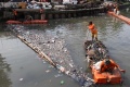 Bersihkan Sampah Ibukota