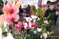 Bibit Ngora, West Java Coffee Festival dan Festival Ketahanan Pangan