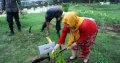 Brimob PMJ Tanam Pohon di Bantaran Kali Ciliwung dan Bersih-Bers