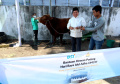 bsi-salurkan-3691-hewan-kurban-ke-seluruh-indonesia_20220712_075457.jpg