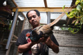 budidaya-ayam-hias-di-malang_20230313_184817.jpg