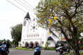 Bunga Tabebuya Kembali Bermekaran di Kota Malang