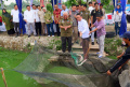 csr-bank-sumsel-babel-budi-daya-ikan-belida-thailand_20231020_161312.jpg