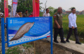 csr-bank-sumsel-babel-budi-daya-ikan-belida-thailand_20231020_161319.jpg