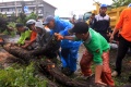 Cuaca Buruk Tumbangkan Pohon di Manado