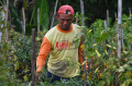 dampak-mahalnya-pupuk-non-subisidi-petani-kota-malang-mengeluh_20240102_172447.jpg