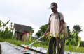 dampak-mahalnya-pupuk-non-subisidi-petani-kota-malang-mengeluh_20240102_172448.jpg