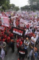 Demo Penjual Pulsa dan Kartu Seluler