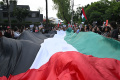 demonstran-pro-palestina-bentrok-dengan-polisi-di-kedubes-israel_20240529_162905.jpg