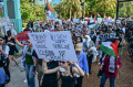 demonstrasi-warga-amarika-pro-palestina-di-orlando-florida_20240512_105506.jpg