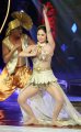 dewi-perssik-dipentas-mahacinta-show_20141213_185319.jpg