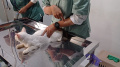 dinas-dkp-kota-tangerang-adakan-vaksinasi-rabies-gratis_20220928_134754.jpg