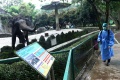 Ditutup Sementara, Kebun Binatang Ragunan Disemprot Disinfektan