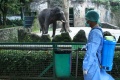 Ditutup Sementara, Kebun Binatang Ragunan Disemprot Disinfektan