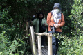 Edukasi Pelestarian Burung Air 
