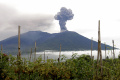 Erupsi Gunung Marapi, 11 Pendaki Meninggal Dunia