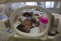 evakuasi-31-bayi-prematur-dari-rs-al-shifa_20231120_150151.jpg