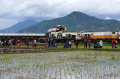 evakuasi-bangkai-ka-turangga-dan-ka-bandung-di-cicalengka_20240105_202205.jpg