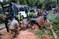 Evakuasi Pohon Tumbang di Menteng