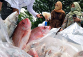 Festival Ikan Milenial 2022 di Plaza Gedung Sate