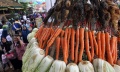 Festival Lumpur di Situ Sipatahunan Bandung