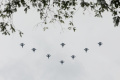 Flypass HUT TNI Ke-77
