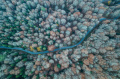 Foto Udara Pemandangan Taman Nasional Yedigoller