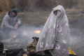 Gelombang Pengungsi Ukraina