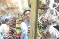 gibran-blusukan-di-pasar-rumput-jakarta_20231211_194140.jpg