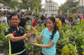 Gotong Royong Boyong Pohon Pada Acara Car Free Day