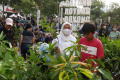 Gotong Royong Boyong Pohon Pada Acara Car Free Day