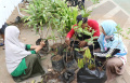 Gotong Royong Boyong Pohon pada Acara Car Free Day