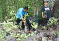 Gotong Royong Boyong Pohon pada Acara Car Free Day