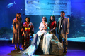 Grand Launching The First Akoya Pearl Harvesting Experience Indo