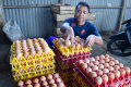 Harga Telur Ayam Naik Drastis, Biaya Perawatan oleh Peternak Juga Naik
