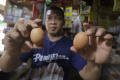 Harga Telur Ayam Naik Jelang Natal