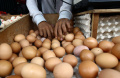 Harga Telur Ayam Tembus Rp. 29.500 di Jakarta
