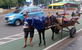 hujan-kusir-delman-menutupi-kudanya-dengan-terpal_20221221_223606.jpg