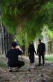 hutan-bambu-keputih-surabaya-kembali-menghijau_20240208_232743.jpg