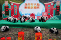 imutnya-bayi-panda-saat-syuting-ucapan-imlek_20240207_162259.jpg
