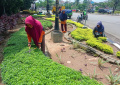 Indahnya Taman Kota Simpang Bandara Emas yang Selalu Dirawat