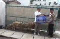 Indofood Salurkan Hewan Qurban Idul Adha 2024 bagi Warga Jakarta