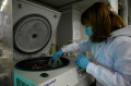 Intip Laboratorium China Penemu Obat Covid-19