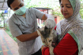 Jakarta Selatan Siapkan 100 Dosis Vaksin Rabies Gratis