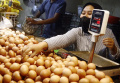 Jelang Ramadhan Permintaan Telur Ayam Mulai Naik